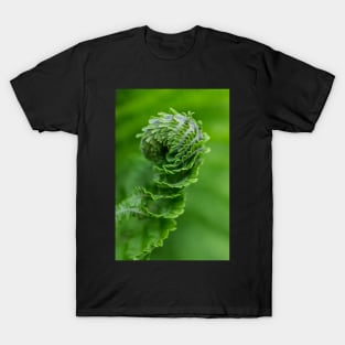 Fern 1 T-Shirt